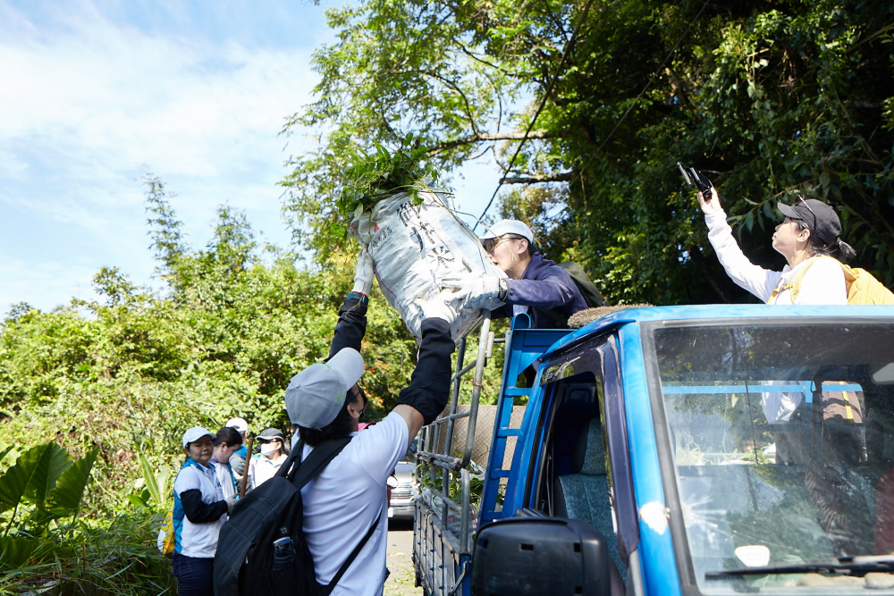 友達串聯志工組成水環境巡守隊，針對霄裡溪沿岸3公里的小花蔓澤蘭，定期進行移除與防治工作